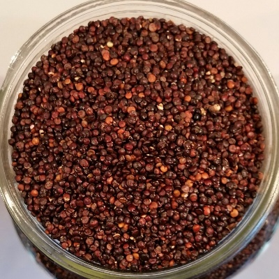 Quinoa noir biologique -  100gr